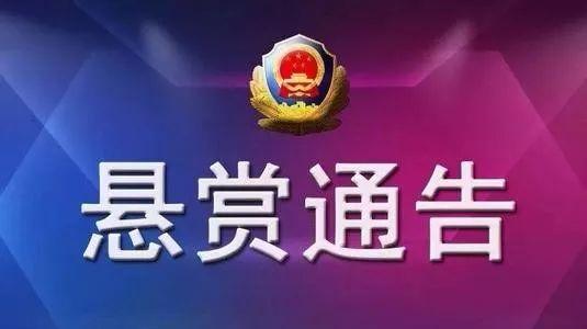 奖金10000元！龙文警方发布悬赏通告！看到这两个人请赶快报警-1.jpg