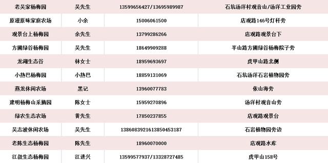 漳州开发区杨梅文化节十二岁啦！-18.jpg