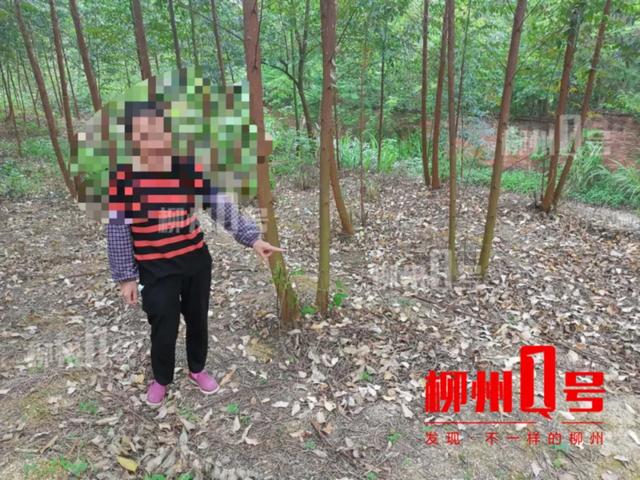 辣眼晴！树林里有人做龌龊事，现场抓获12男2女-2.jpg