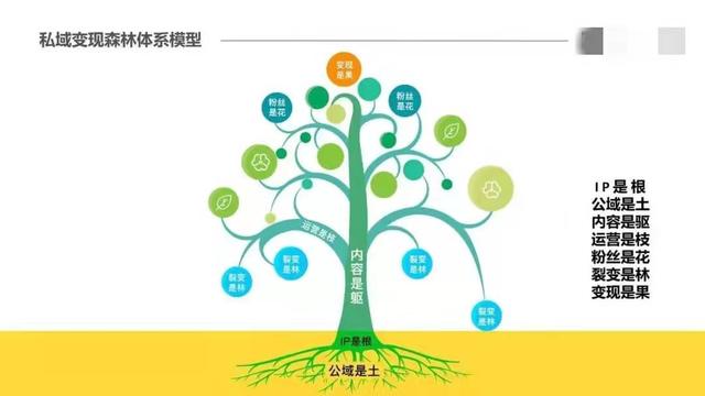 揭秘私域变现森林体系，7大系统34个模块，重新理解私域这件事-3.jpg