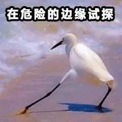 【曝光台】安全和遮阳哪个重要？自己来看！-8.jpg