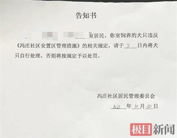 郑州一社区全面禁止养狗引质疑，居委会：不会强行开门捉狗-4.jpg