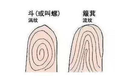 俗语：一螺穷，二螺富，三螺四螺开当铺，啥意思？你有几个螺？-3.jpg