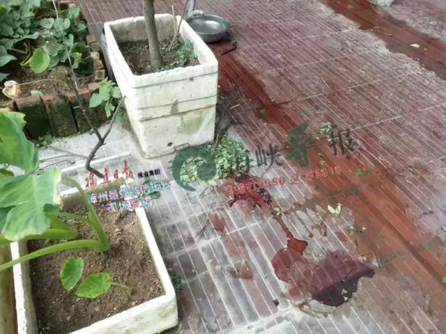 突发！漳州4岁男童从14楼窗户坠落，不幸身亡-1.jpg