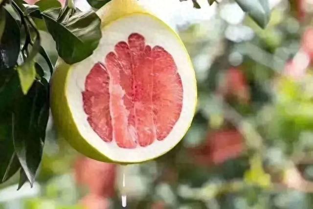 漳州交警：中秋将至，“柚”是一年丰收季，要警惕这些危险因素!-8.jpg